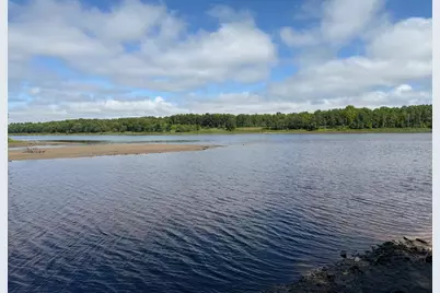 Tbd Hwy 11 (Parcel A), Loman, MN 56654 - Photo 29