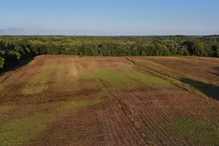 37Xxx Verdin Street NW, Stanchfield, MN 55080 - Photo 1