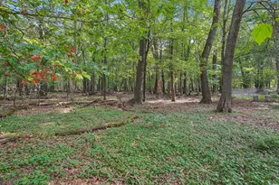 20715 Minnie B Grant Ln NE, Wyoming, MN 55092 - Photo 53