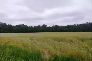 6Xxx County Road 6 NW, Wyanett Township, MN 55371 - Photo 1