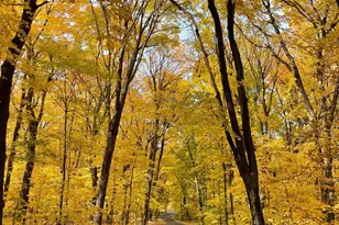 1875 Troy Ln N, Plymouth, MN 55447 - Photo 59