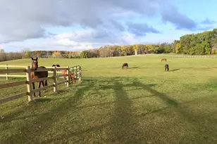 68157 340th St, Watkins, MN 55389 - Photo 37