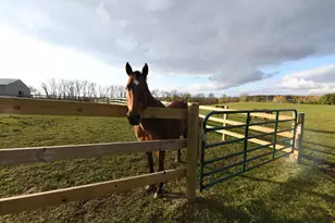 68157 340th St, Watkins, MN 55389 - Photo 37