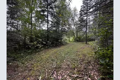 Tract A Jewel Drive, Park Rapids, MN 56470 - Photo 23