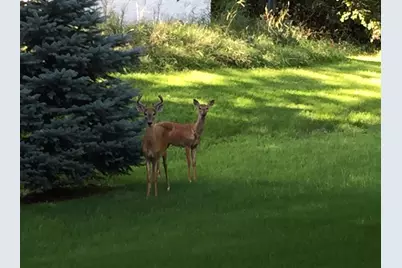 19701 Rush Street NW, Elk River, MN 55330 - Photo 55