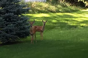 19701 Rush Street NW, Elk River, MN 55330 - Photo 55