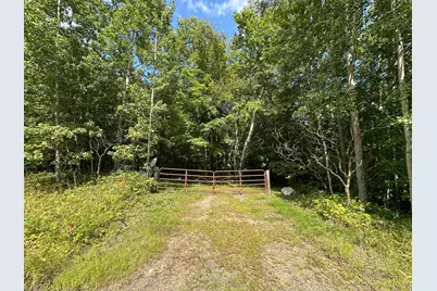 Tbd County Road 8, Roosevelt Township, MN 56450 - Photo 1