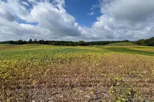 Tbd Placid Dr, Dent, MN 56573 - Photo 1