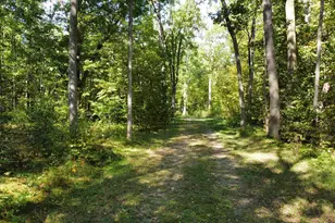 24126 Co Rd 19, Merrifield, MN 56465 - Photo 53