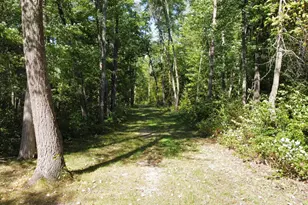 24126 Co Rd 19, Merrifield, MN 56465 - Photo 25