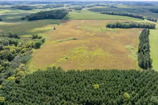 Xxxxx 141st Ave, Montgomery, MN 56069 - Photo 1