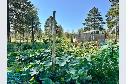 12435 340th Street, Menahga, MN 56464 - Photo 63