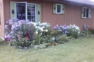 35399 County 4, Lake George Township, MN 56458 - Photo 37