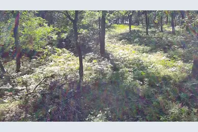 30057 Crystal Lake Drive, Webb Lake, WI 54830 - Photo 3