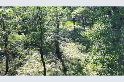 30057 Crystal Lake Drive, Webb Lake, WI 54830 - Photo 5