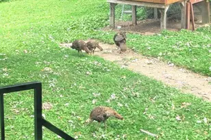 202 2nd Ave N, Frederic, WI 54837 - Photo 49