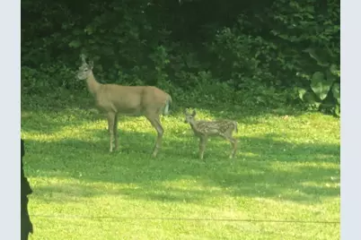 202 2nd Avenue N, Frederic, WI 54837 - Photo 51