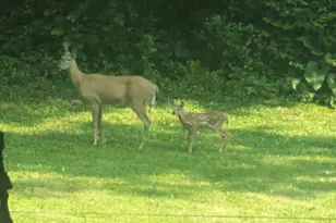 202 2nd Ave N, Frederic, WI 54837 - Photo 51