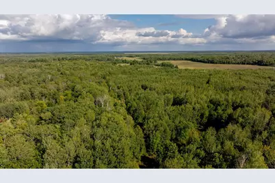 9149 Boy Lake Drive NE, Remer, MN 56672 - Photo 25