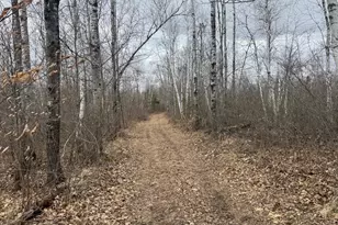 33227 State Road 35, Danbury, WI 54830 - Photo 43