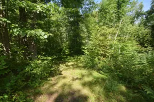 33227 State Road 35, Danbury, WI 54830 - Photo 33