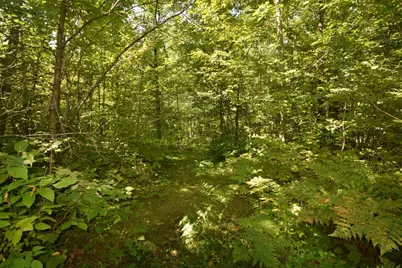 33227 State Road 35, Danbury, WI 54830 - Photo 35