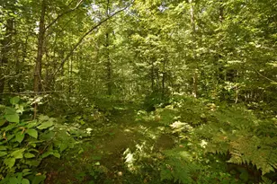 33227 State Road 35, Danbury, WI 54830 - Photo 35