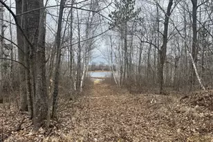 33227 State Road 35, Danbury, WI 54830 - Photo 37