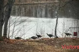 W1210 Nice Lake Rd, Birchwood, WI 54817 - Photo 47