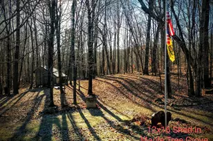 W1210 Nice Lake Rd, Birchwood, WI 54817 - Photo 43