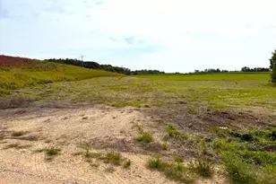 Tbd 205th St, Battle Lake, MN 56515 - Photo 1