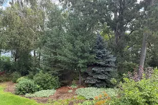 35423 Co Hwy 46, Savannah Twp, MN 56470 - Photo 25