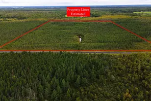 Tbd State Hwy 210, McGregor, MN 55760 - Photo 1