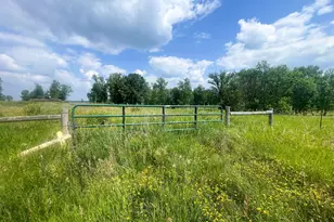 Tbd Great Divide Road NW, Puposky, MN 56667 - Photo 1