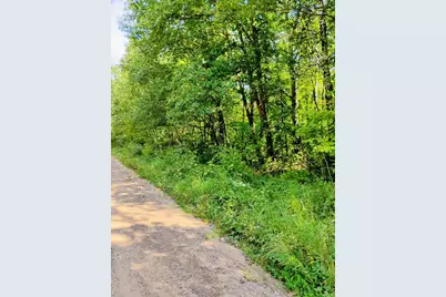 Tbd Olson Road, Dell Grove Township, MN 55037 - Photo 1