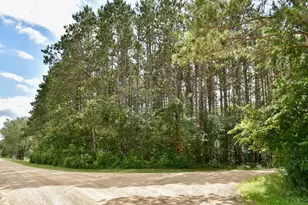 67845 151st Ave, Wabasha, MN 55981 - Photo 29