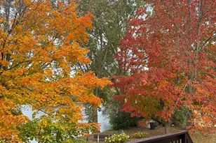 655 11th Street Southwest, Pine City, MN 55063 - Photo 53