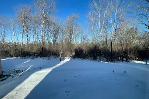 6070 157th St N, Hugo, MN 55038 - Photo 15