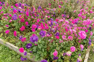 1916 9 1/2 Ave SE, Rochester, MN 55904 - Photo 5