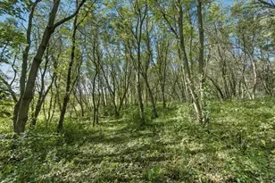 25415 Grail Ct, Wyoming, MN 55092 - Photo 43