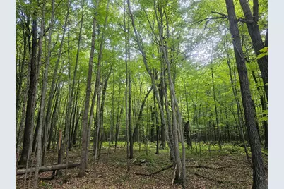Lot 6 Ken Can Lane, Webster, WI 54893 - Photo 3