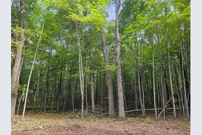 Lot 6 Ken Can Lane, Webster, WI 54893 - Photo 1