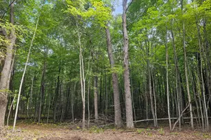 Lot 6 Ken Can Ln, Webster, WI 54893 - Photo 1