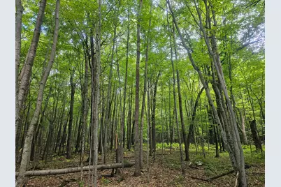 Lot 6 Ken Can Lane, Webster, WI 54893 - Photo 7