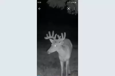 12624 US Highway 212, Sacred Heart, MN 56285 - Photo 33