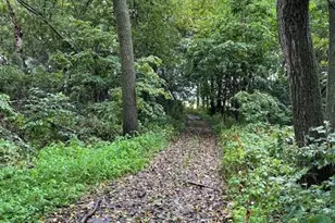 12624 US Hwy 212, Sacred Heart, MN 56285 - Photo 41