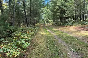 14701 Chokecherry Dr, Nevis, MN 56467 - Photo 17