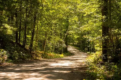 Tbd Ridge View Lane NE, Longville, MN 56655 - Photo 7