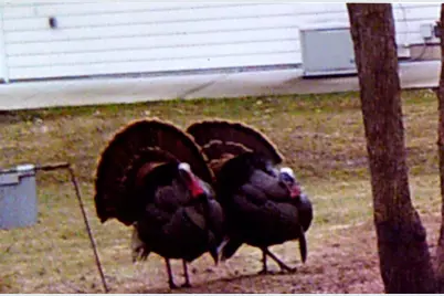 3211 Ivory Street, Isle, MN 56342 - Photo 67