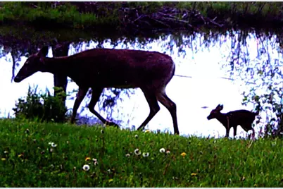 3211 Ivory Street, Isle, MN 56342 - Photo 65